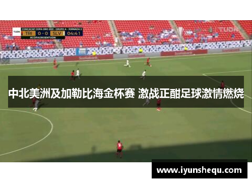 中北美洲及加勒比海金杯赛 激战正酣足球激情燃烧 中北美洲及加勒比海金杯赛 激战正酣足球激情燃烧